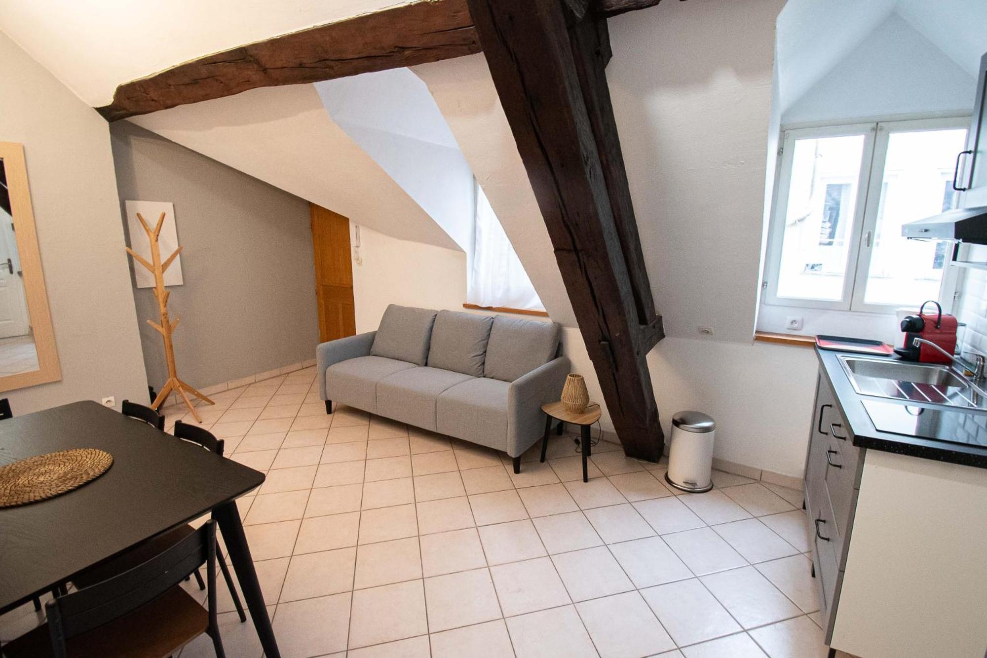 Residence Le Zola Compose De 3 Appartements Distincts En Hyper Centre De Dijon Avec Wifi Екстер'єр фото