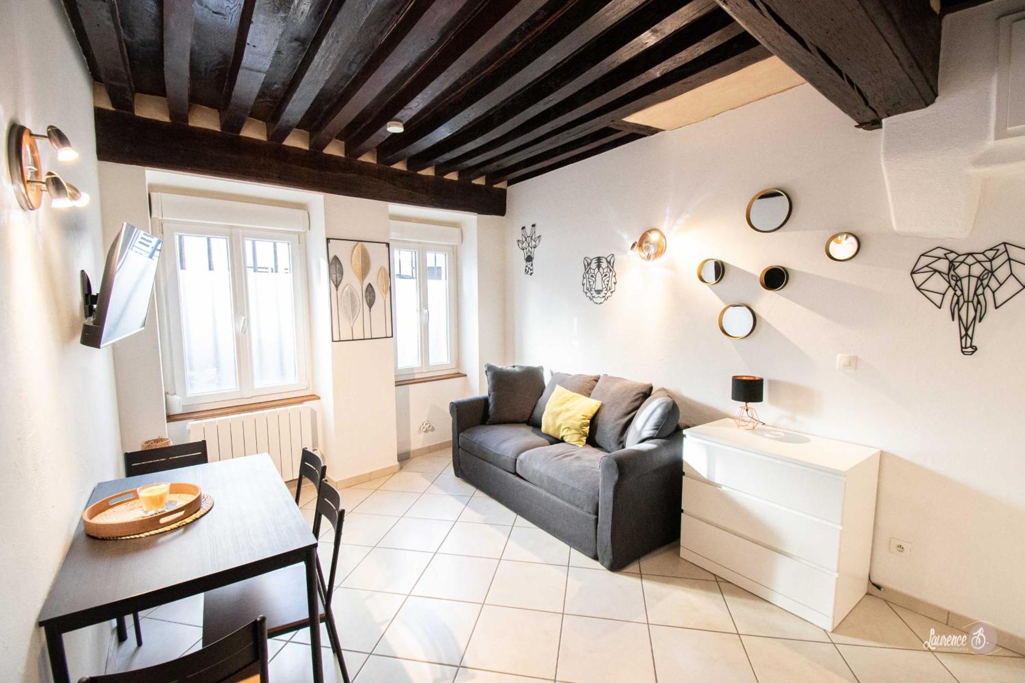 Residence Le Zola Compose De 3 Appartements Distincts En Hyper Centre De Dijon Avec Wifi Екстер'єр фото